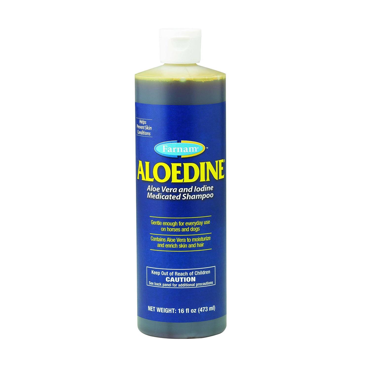 Farnam Aloedine Medicated Shampoo - Healthber