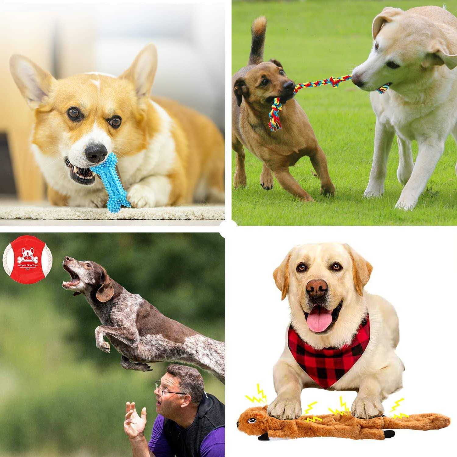 Aipper Dog Puppy Toys 20 Pack, Puppy Chew Toys for Fun and Teeth Cleaning - Healthber