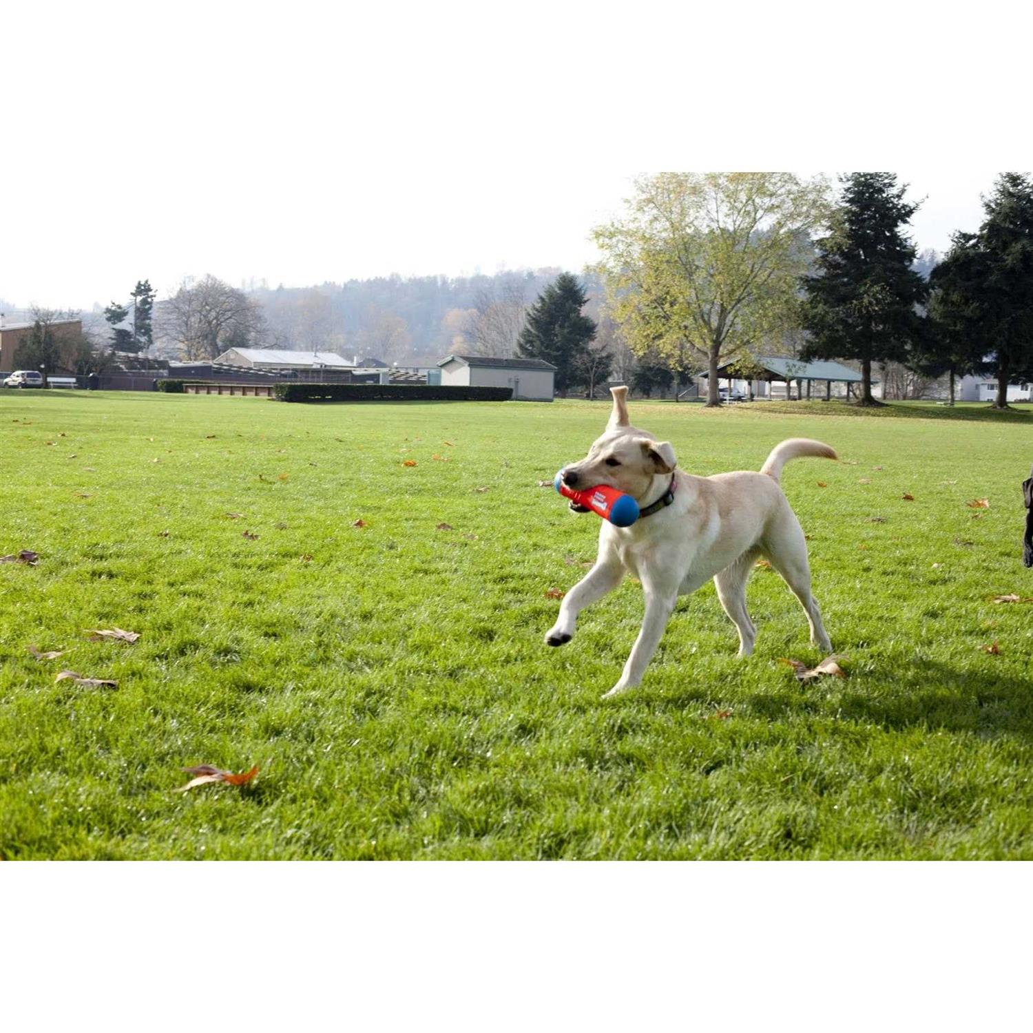 Chuckit! Tumble Bumper Dog Toy - Healthber