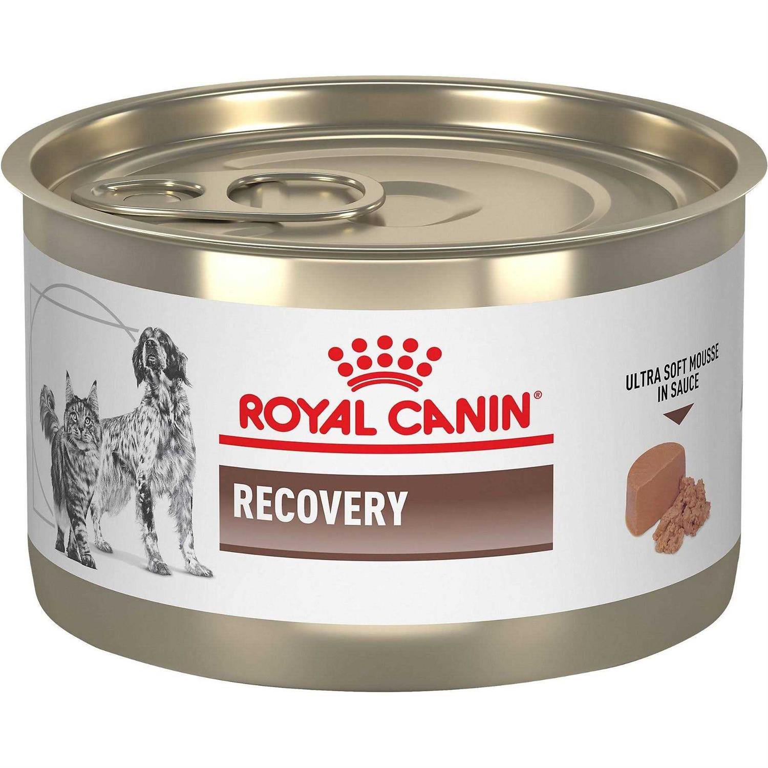 Royal Canin Veterinary Diet Recovery Ultra Soft Mousse in Sauce Wet Dog & Cat Food - Healthber