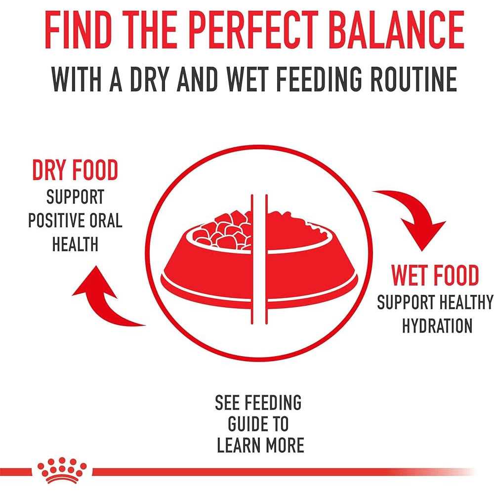 Royal Canin Medium Puppy Dry Dog Food - Healthber