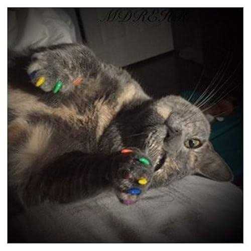 Purrdy Paws Soft Nail Caps for Cat Claws - Healthber