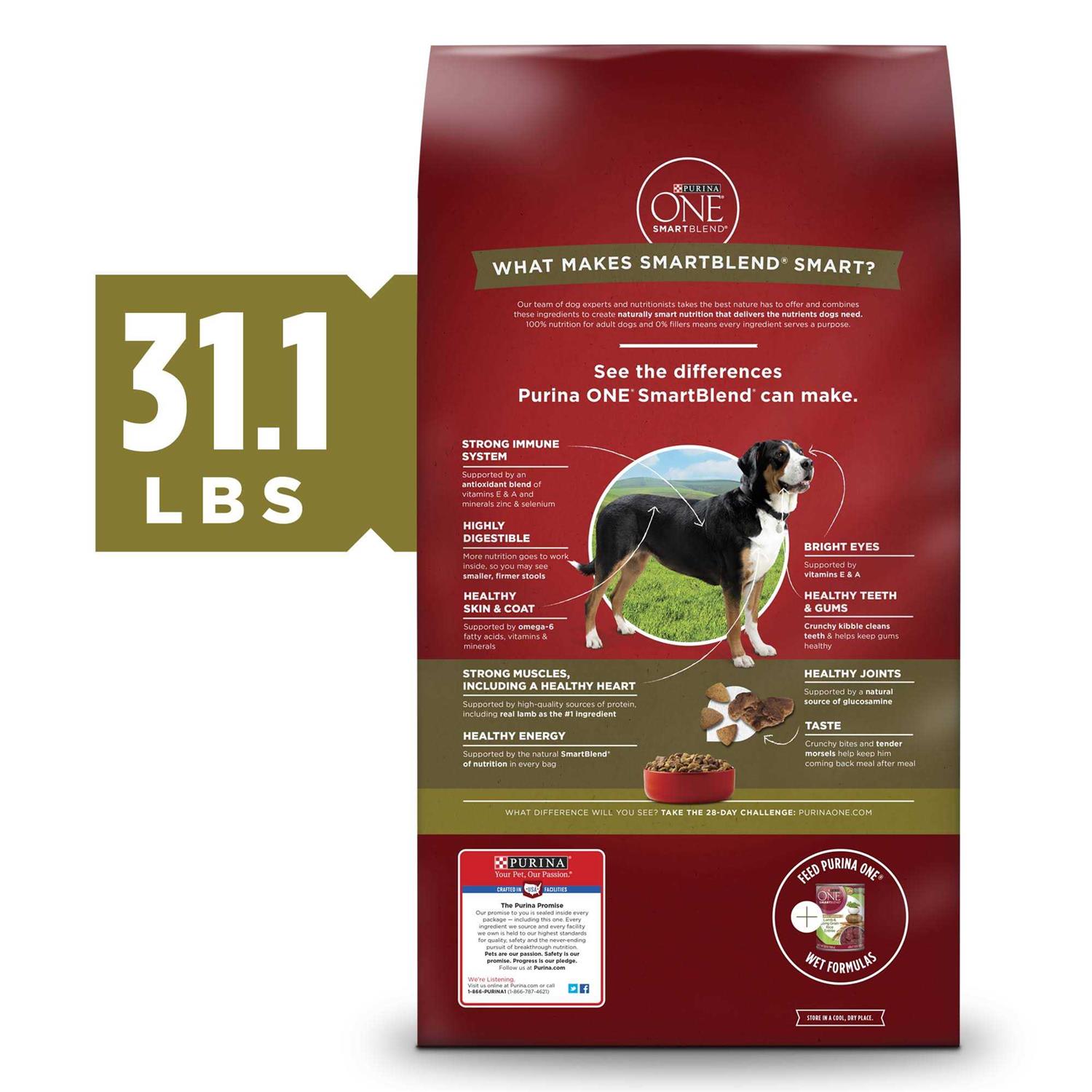 Purina ONE Dry Dog Food Rice Formula - Healthber