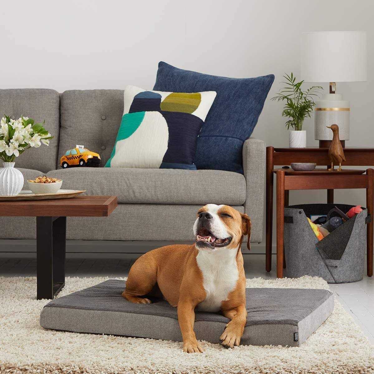 Barkbox Memory Foam Platform Dog Bed Plush Mattress for Orthopedic Joint Relief - Healthber