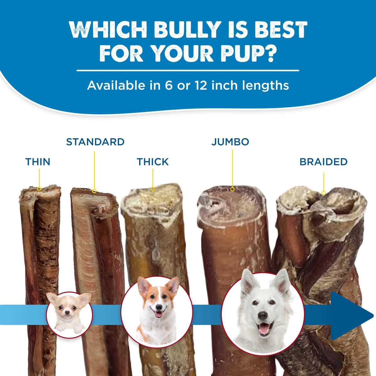 Best Bully Sticks All-Natural Bully Sticks for Dogs - Healthber