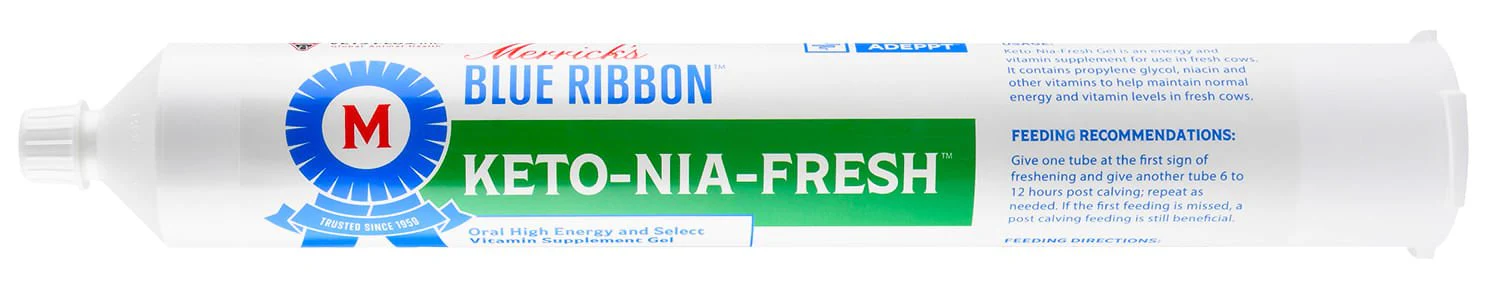 Keto-NIA-Fresh, 300 mL - Healthber