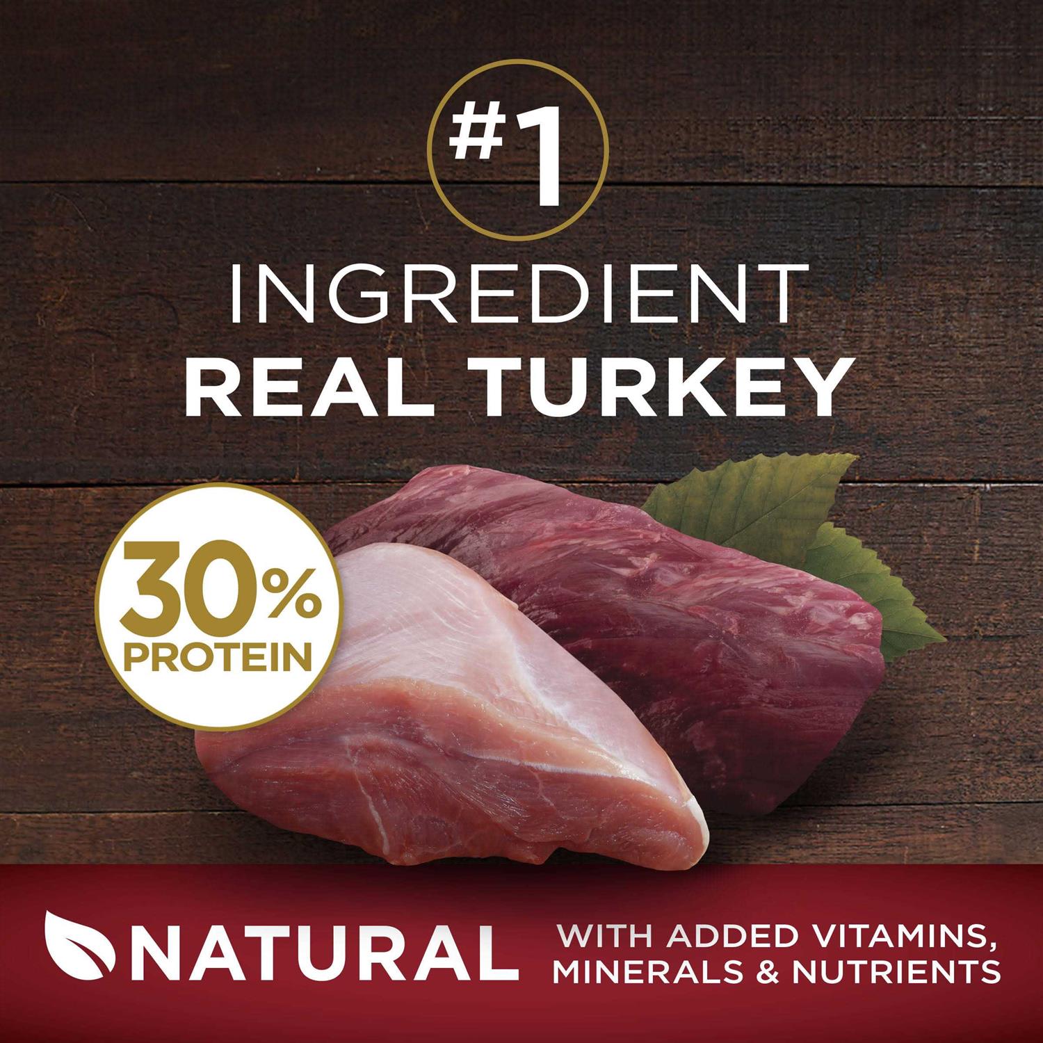 Purina ONE Real Turkey & Venison True Instinct Dry Dog Food - Healthber