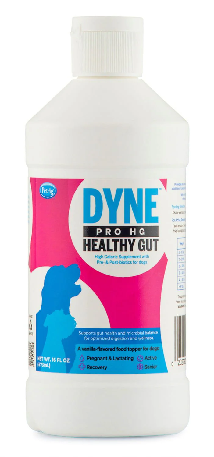 Dyne PRO HG Healthy Gut for Dogs - Healthber