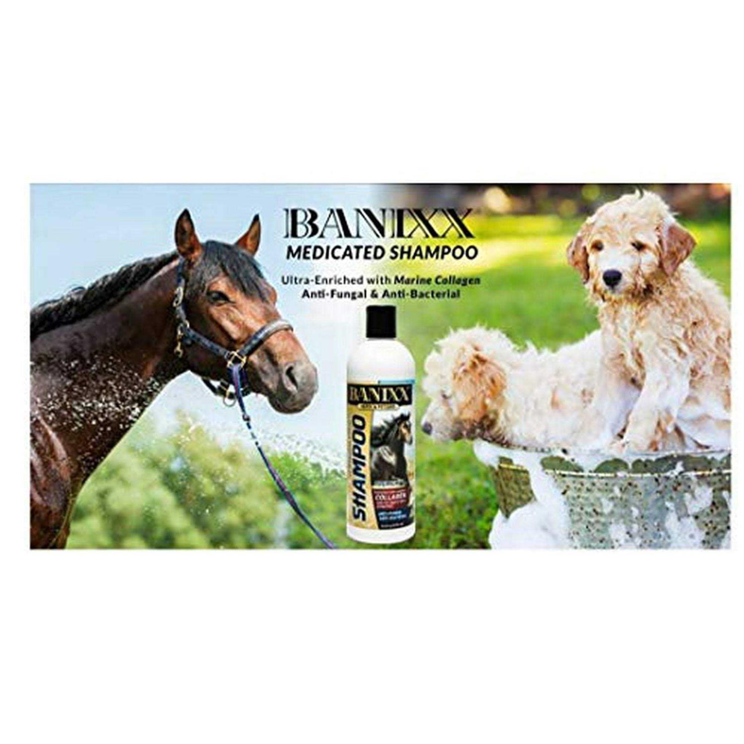 Banixx Medicated Shampoo - Healthber