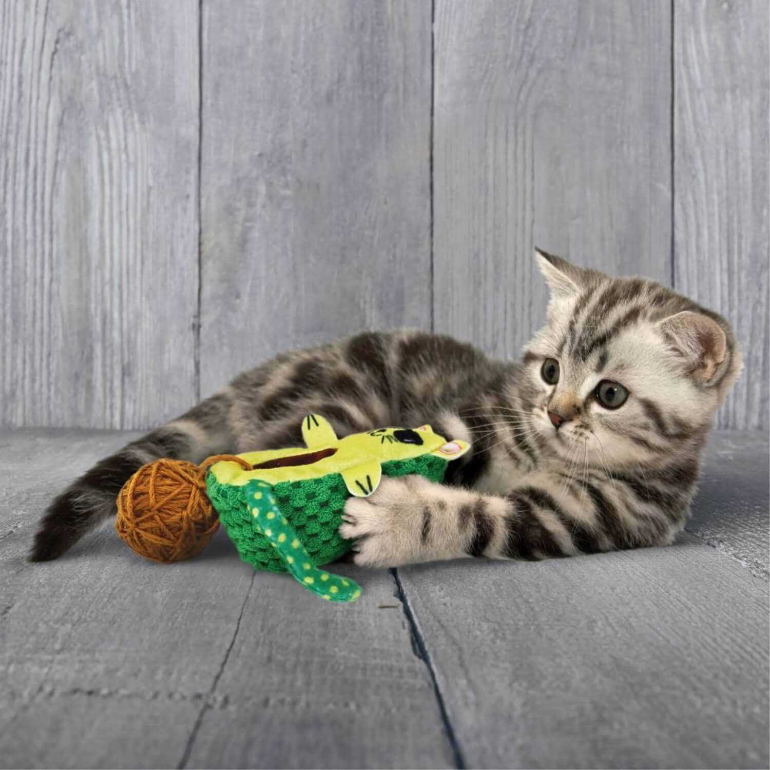 KONG Wrangler AvoCATo Cat Toy - Healthber