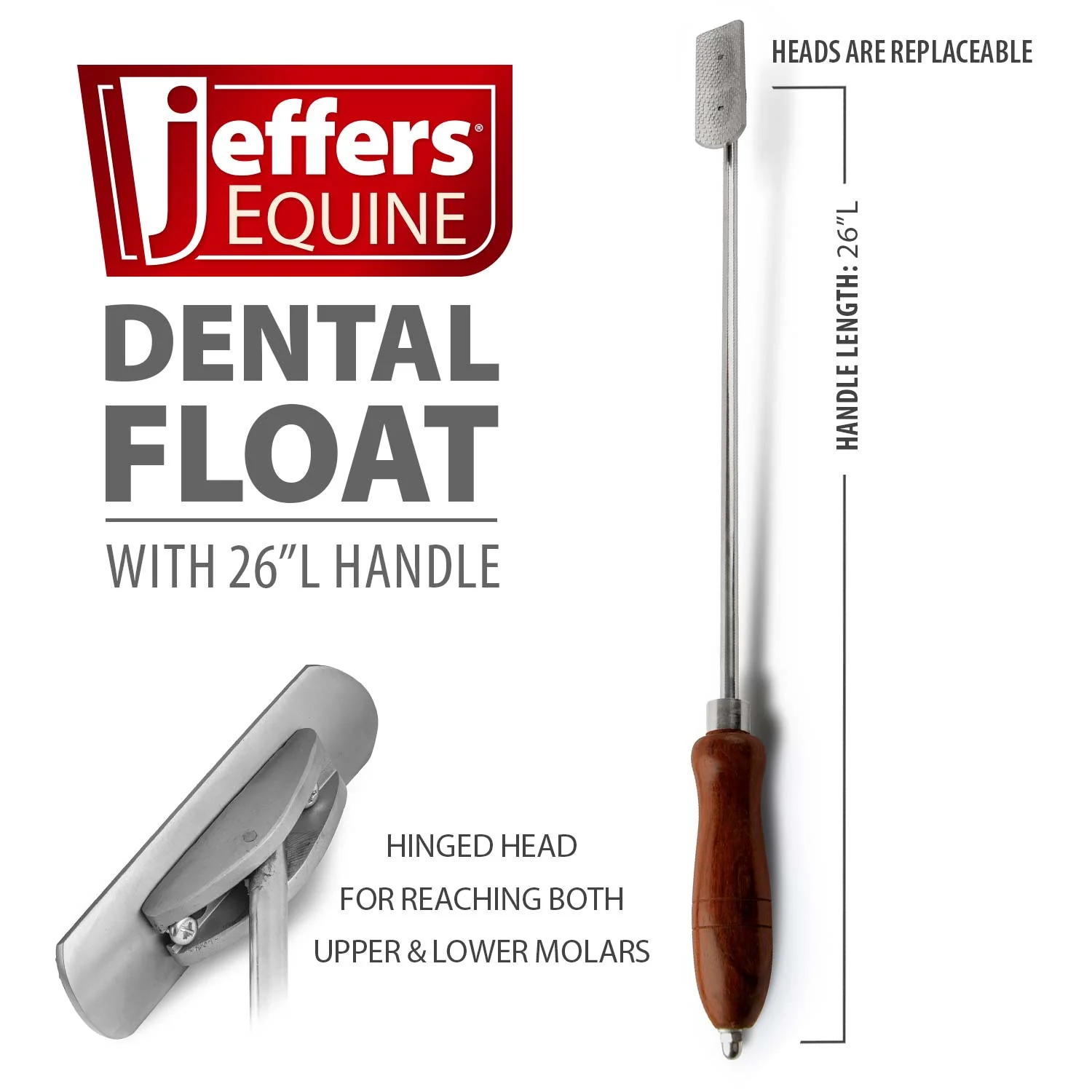 Horse Dental Float (& Replacement Blades) - Healthber