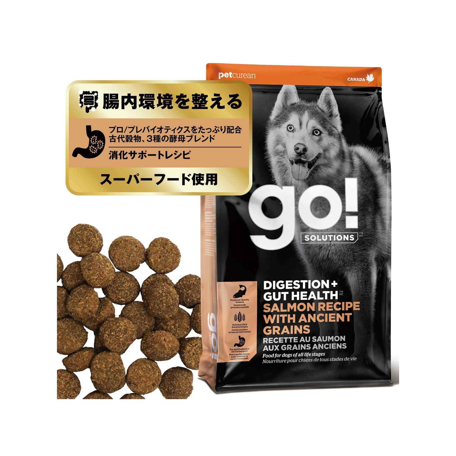 Go! Solutions Digestion Gut Health Salmon Recipe with Ancient Grains for Dogs - Healthber