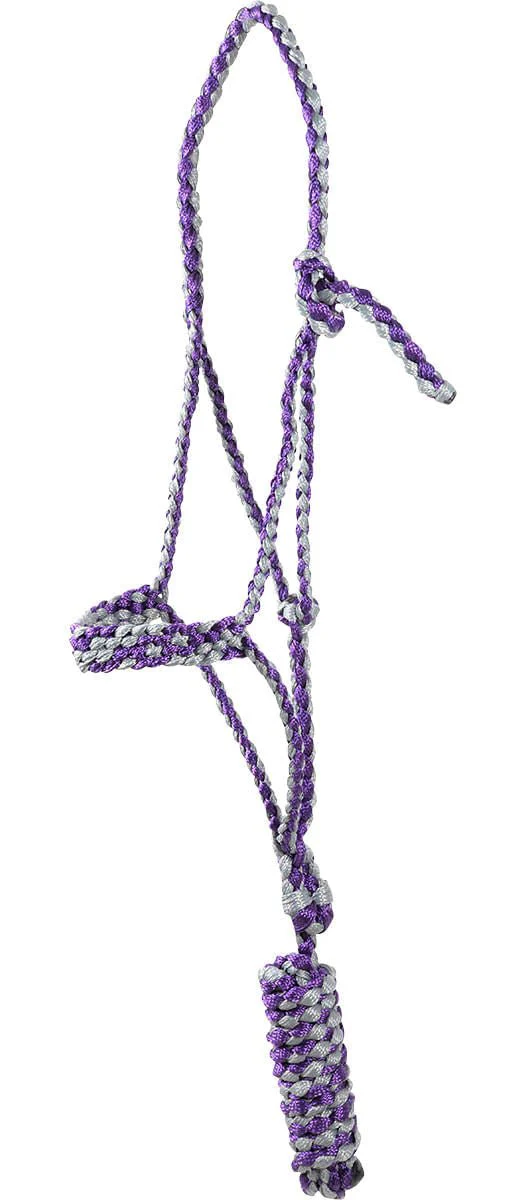 Classic Equine Flat Braid Halter with Lead Rope - Healthber