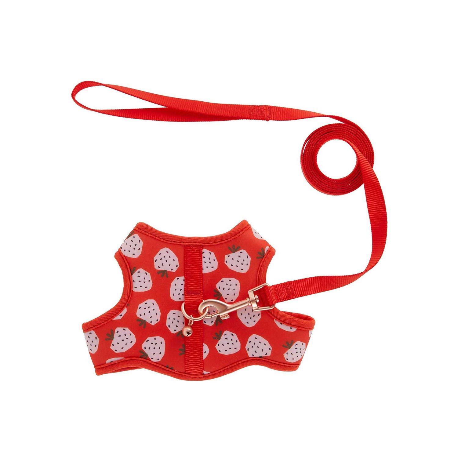 Whisker City Cat Leash and Harness Combo - Healthber