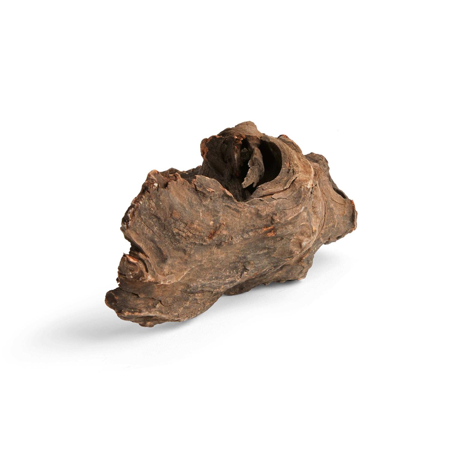 Imagitarium Driftwood - Healthber