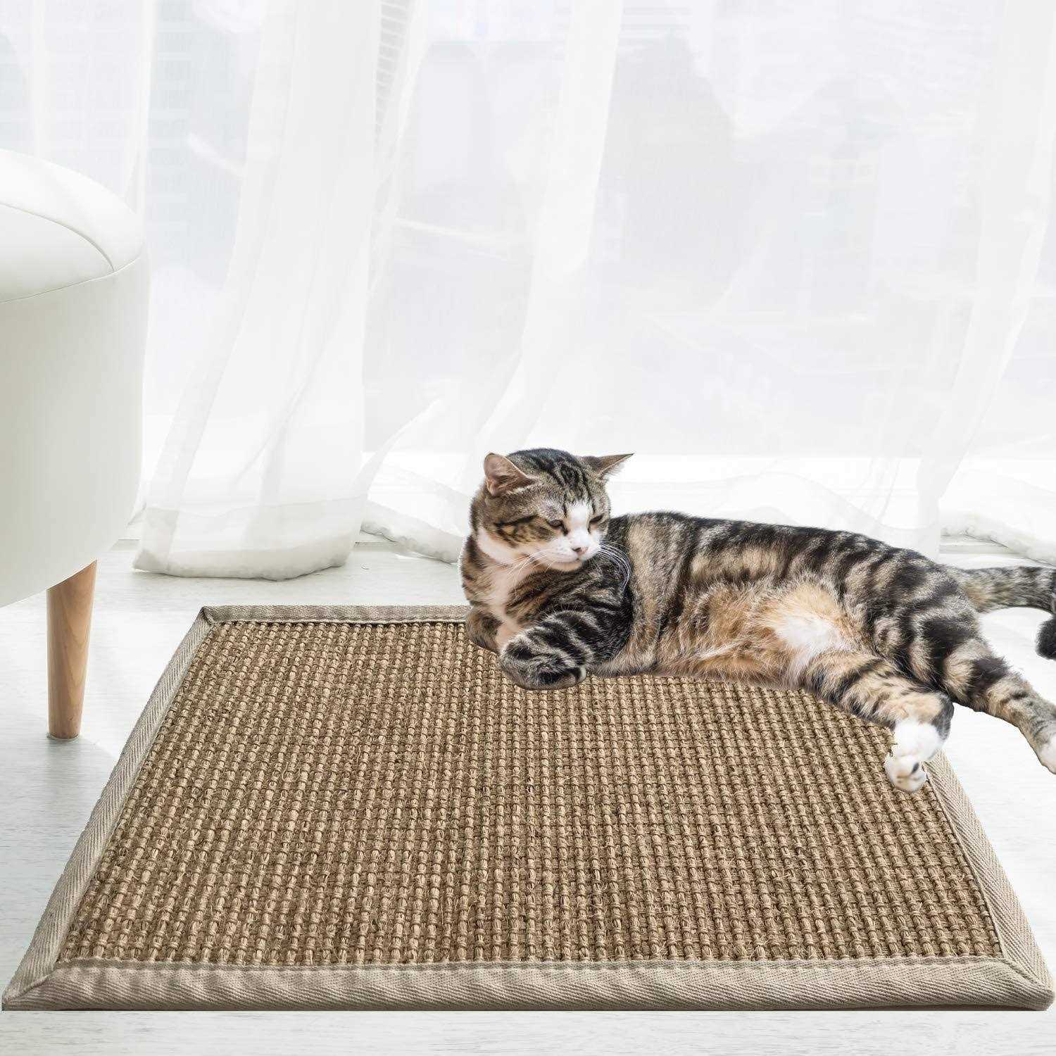 Diversity world Natural Sisal Cat Scratching Mat - Healthber