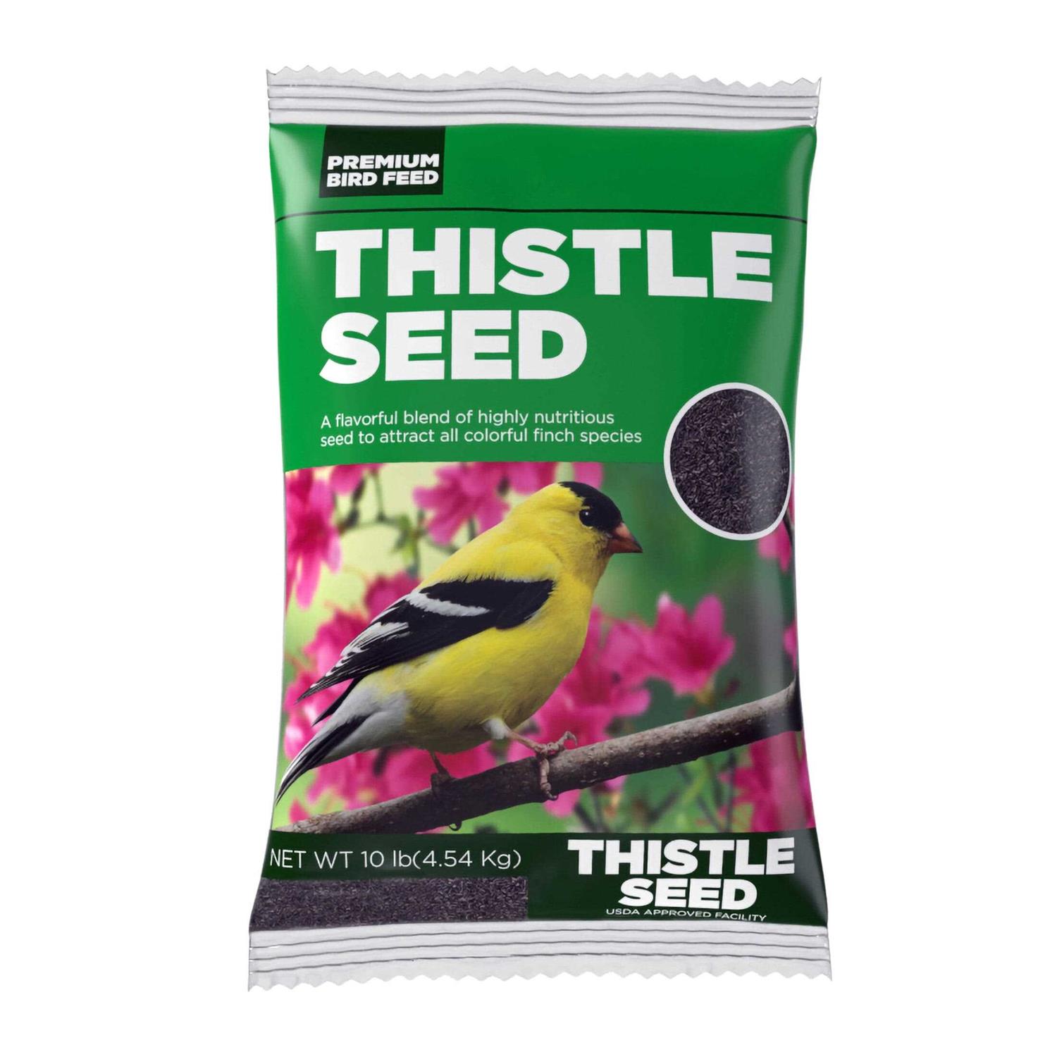 Premium Sterilized Natural Black Thistle Seed - Healthber