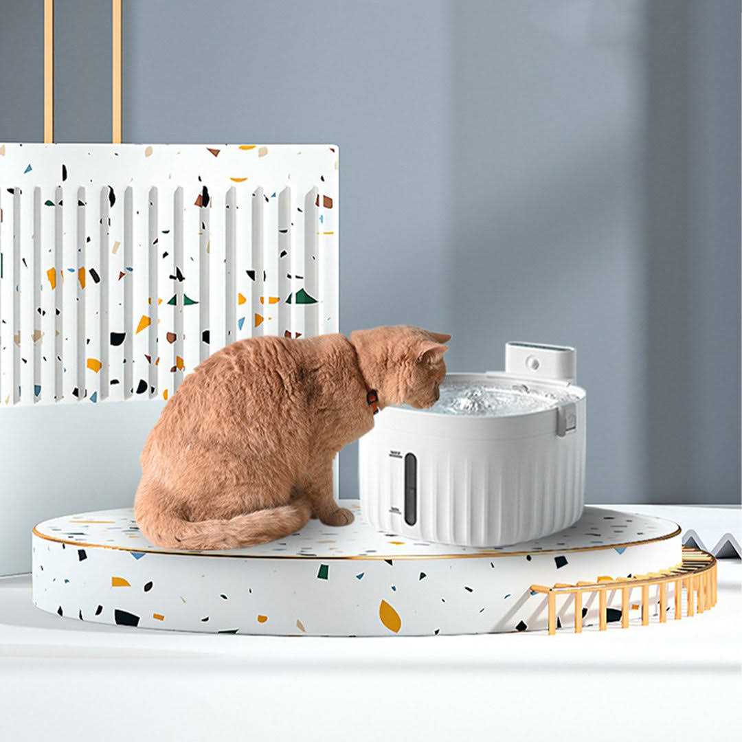 Automatic Pet Water Fountain HANAMYA - Healthber