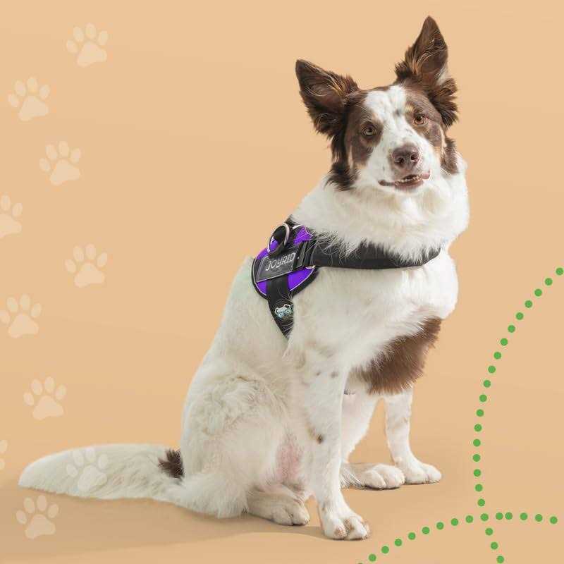 Joyride Harness No Pull Easy On-Off Dog Harness - Healthber