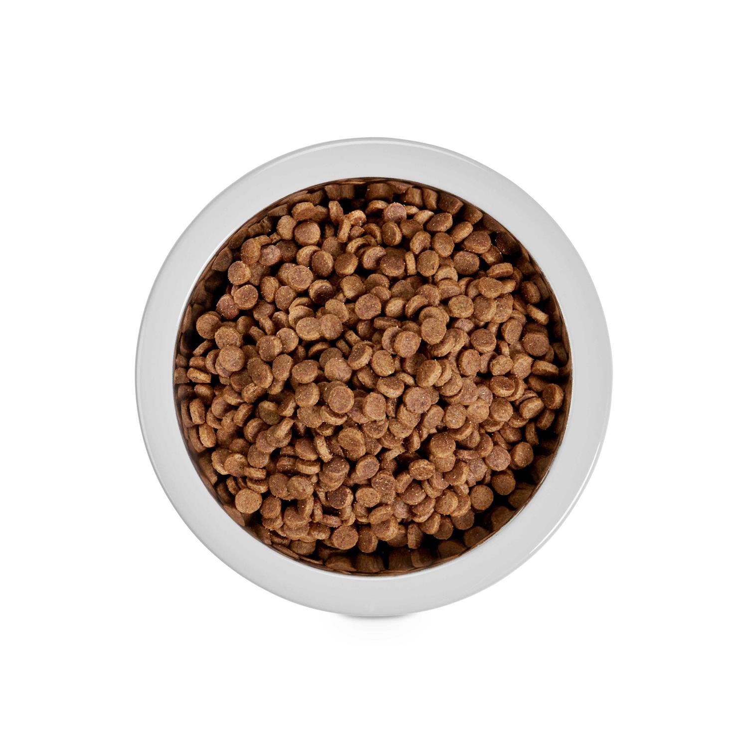 EveryYay Stainless-Steel Grey Dog Bowl - Healthber