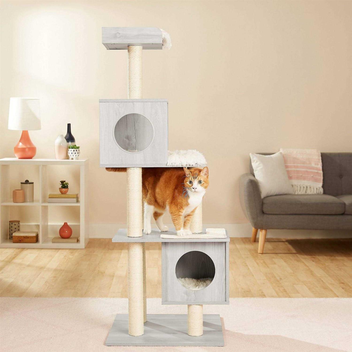 Frisco 62-in Modern Cat Tree Condo - Healthber