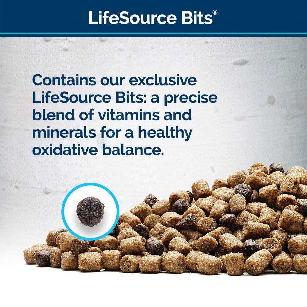 Blue Buffalo Wilderness Rocky Mountain Recipe High Protein Dry Cat Food - Healthber