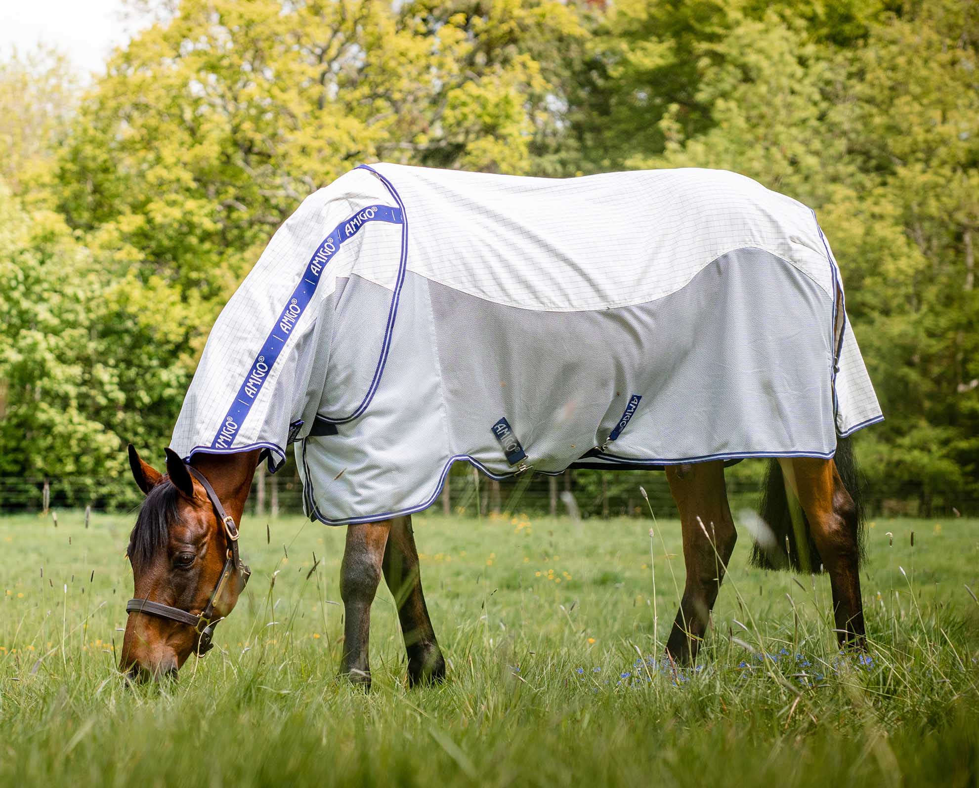 Amigo Airflow Horse Fly Sheet - Healthber