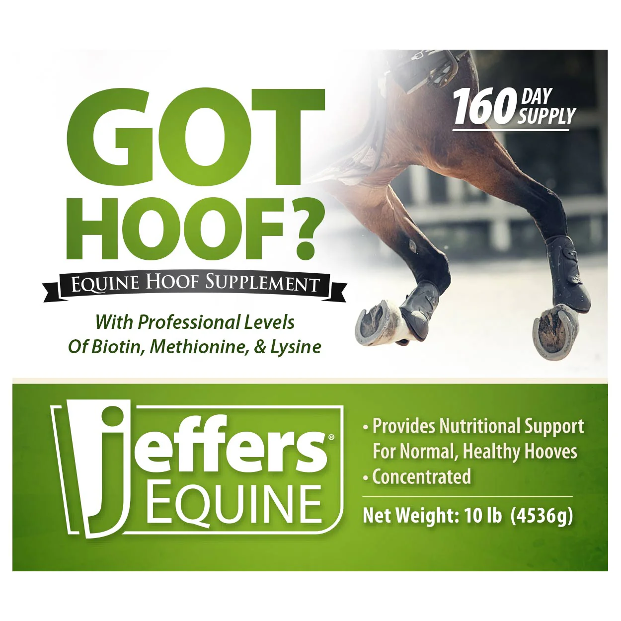 Got Hoof? Concentrated Equine Hoof Supplement - Healthber