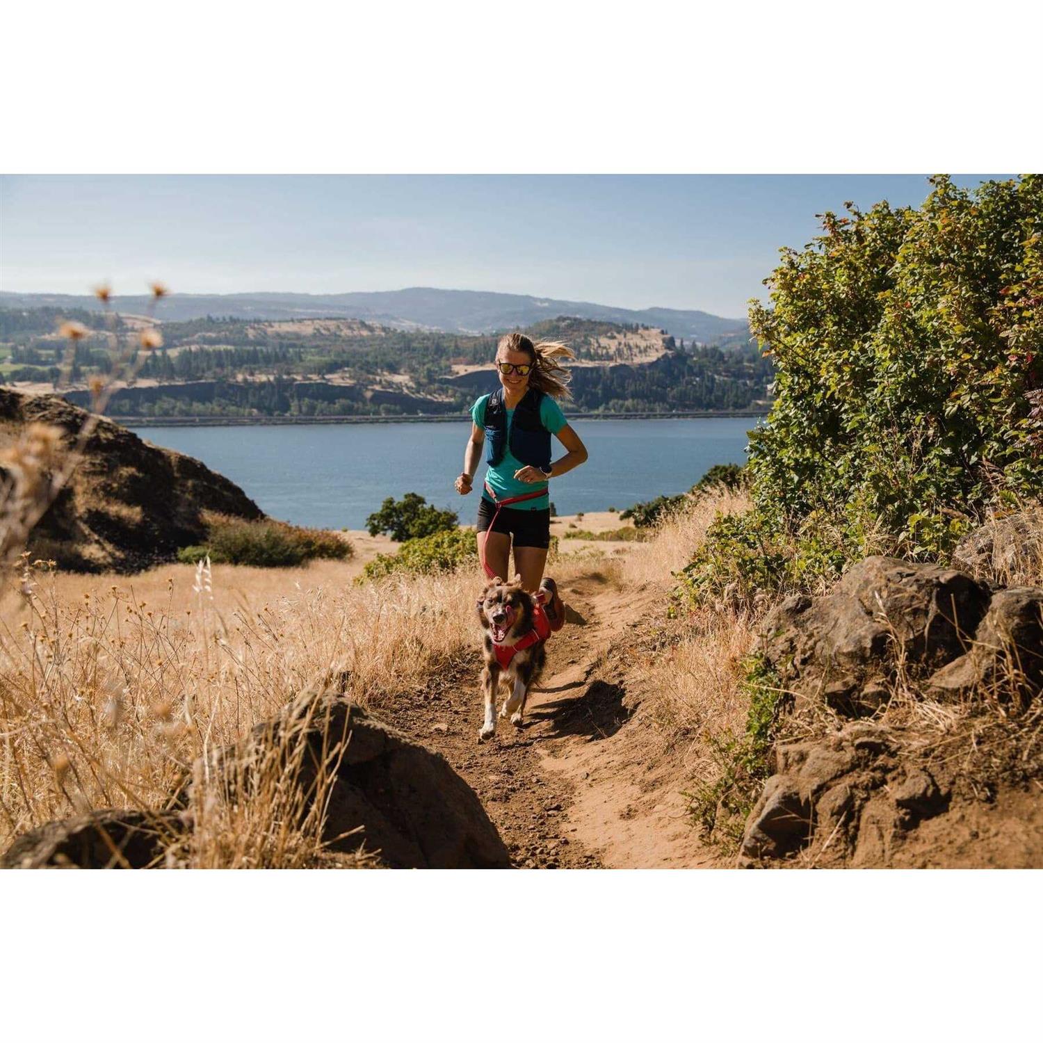 Ruffwear Switchbak Harness - Healthber
