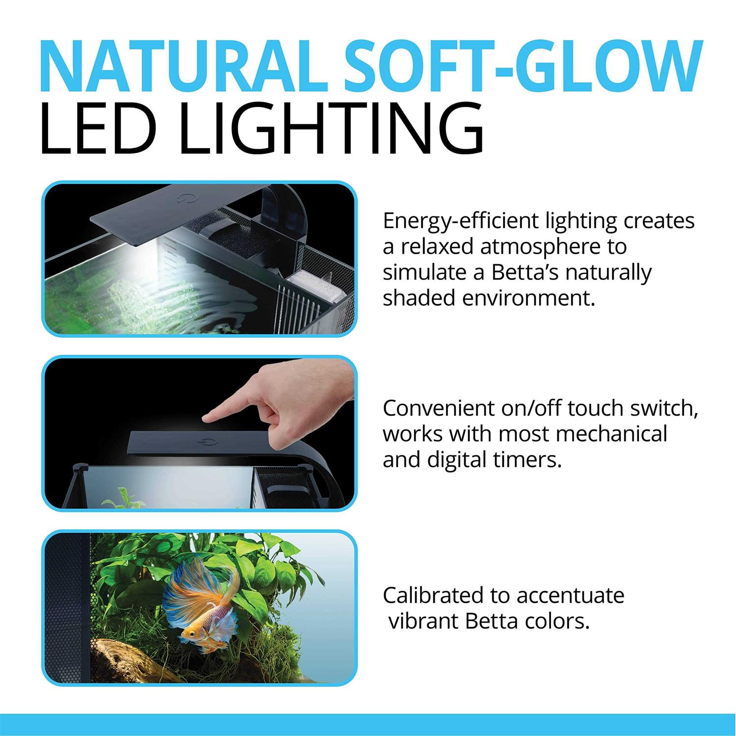 Fluval Premium Betta Kit - Healthber