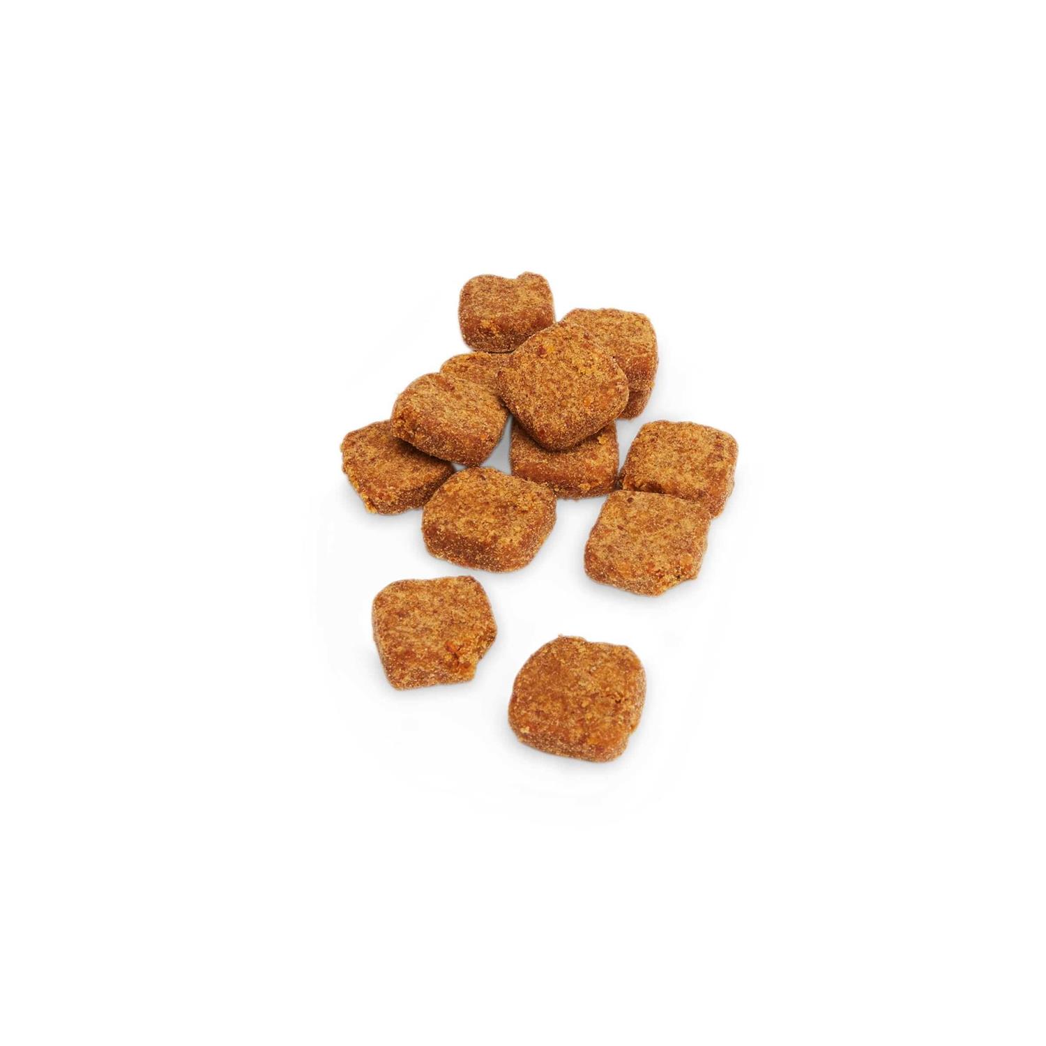 Well & Good Digestive Enzymes with Probiotics Soft Dog Chews - Healthber
