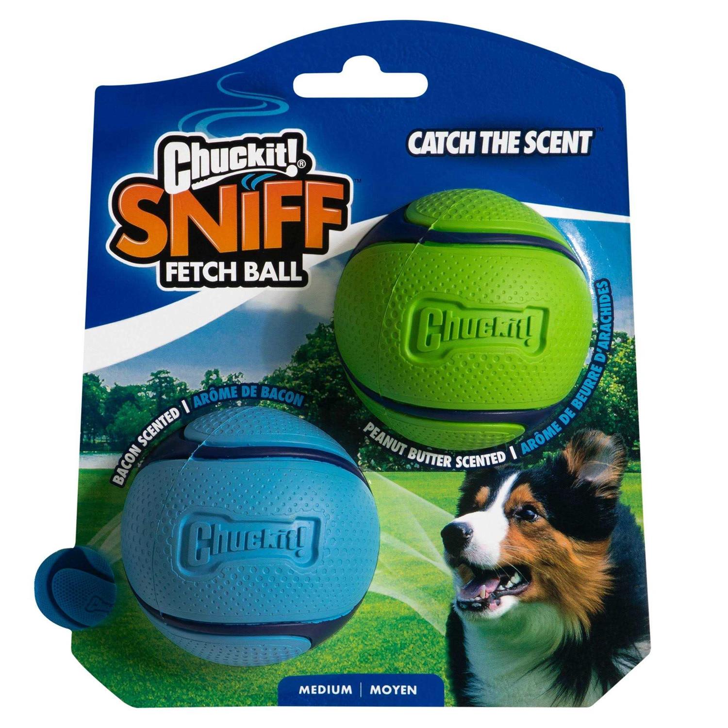 Chuckit! Sniff Fetch Ball Dog Toy - Healthber