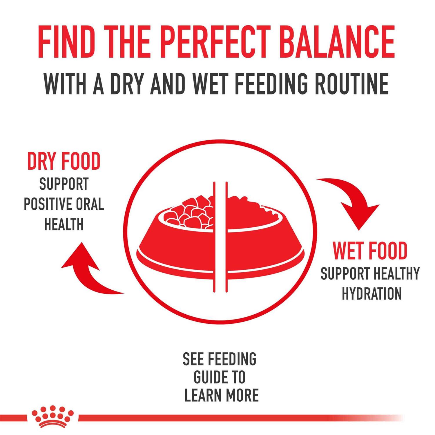Royal Canin Breed Health Nutrition Yorkshire Terrier Adult Wet Dog Food – - Healthber