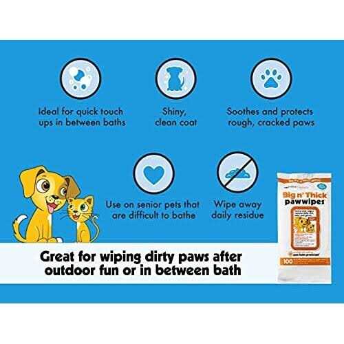 Petkin Big N’ Thick Paw Wipes 100 - Healthber