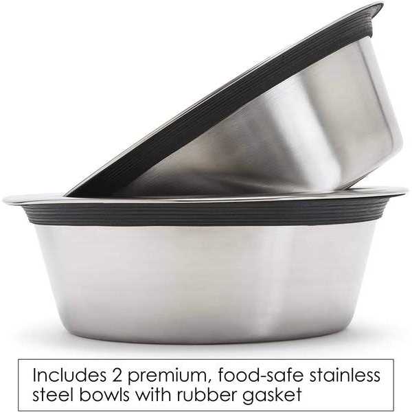 Baron Double Raised Dog Bowl - Healthber