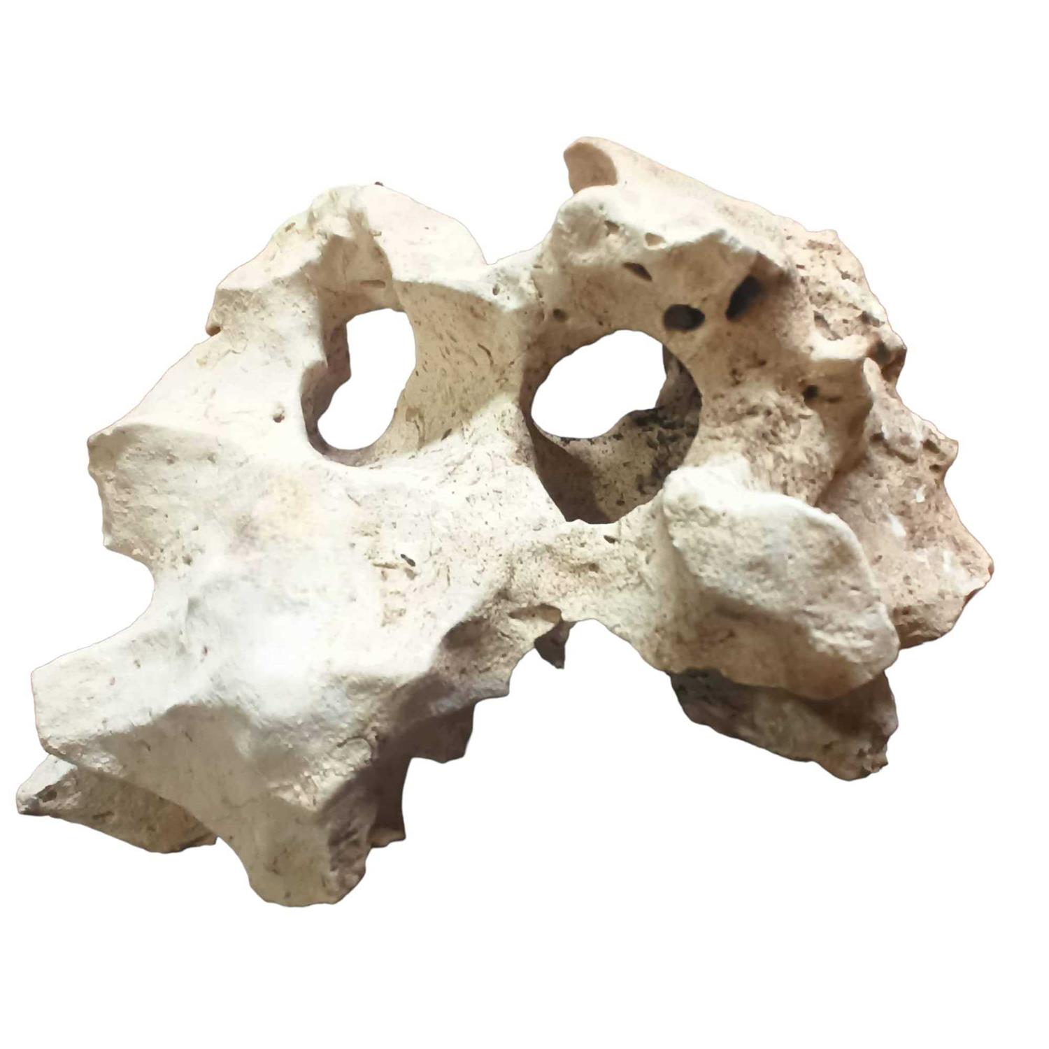 Texas Holey Rock Aquarium Decor for Fish and Aquatic Pets to Swim and Hide - Healthber