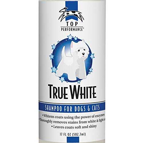 Top Performance True White Whitening Shampoo - Healthber