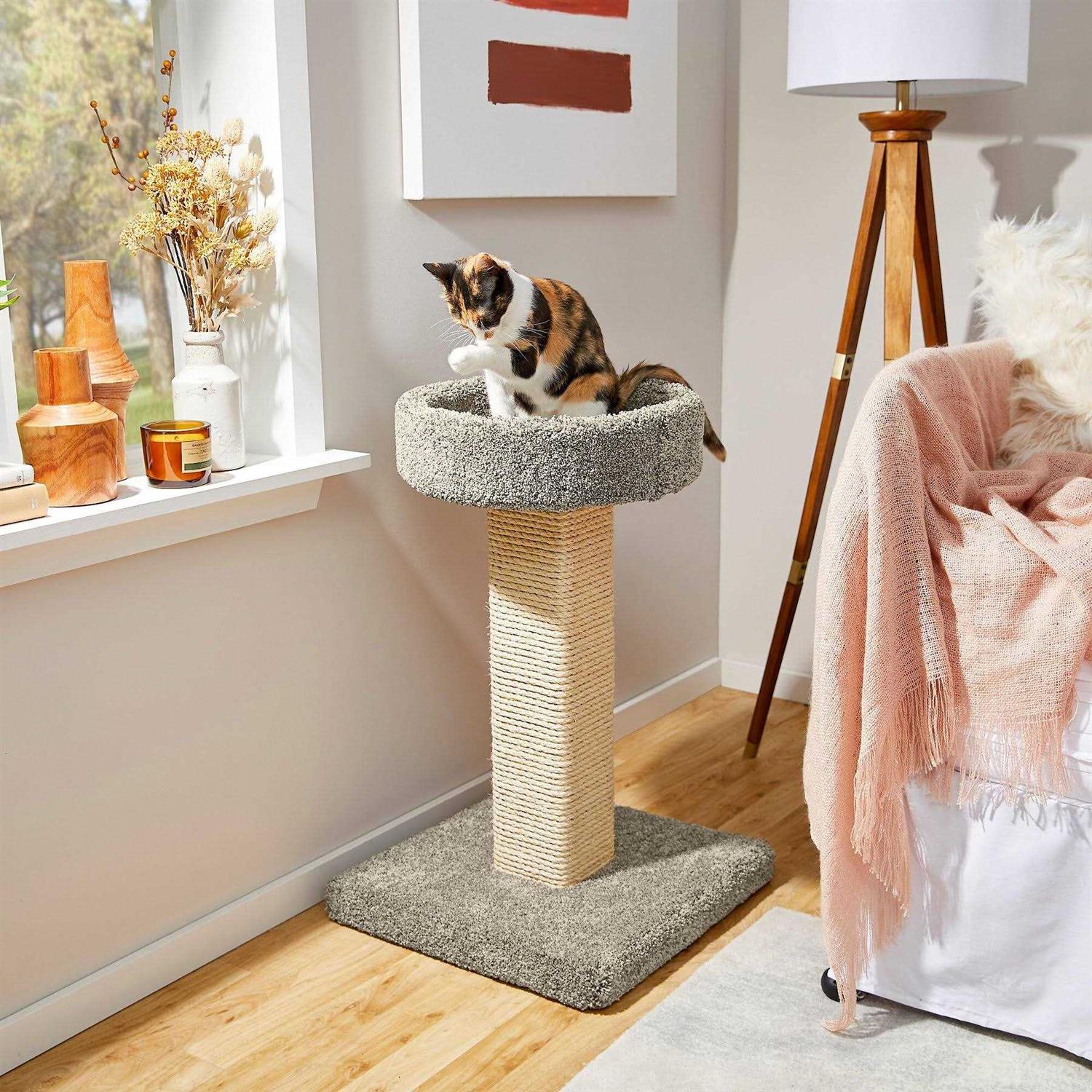 Frisco 32-in Real Carpet Wooden Cat Tree - Healthber