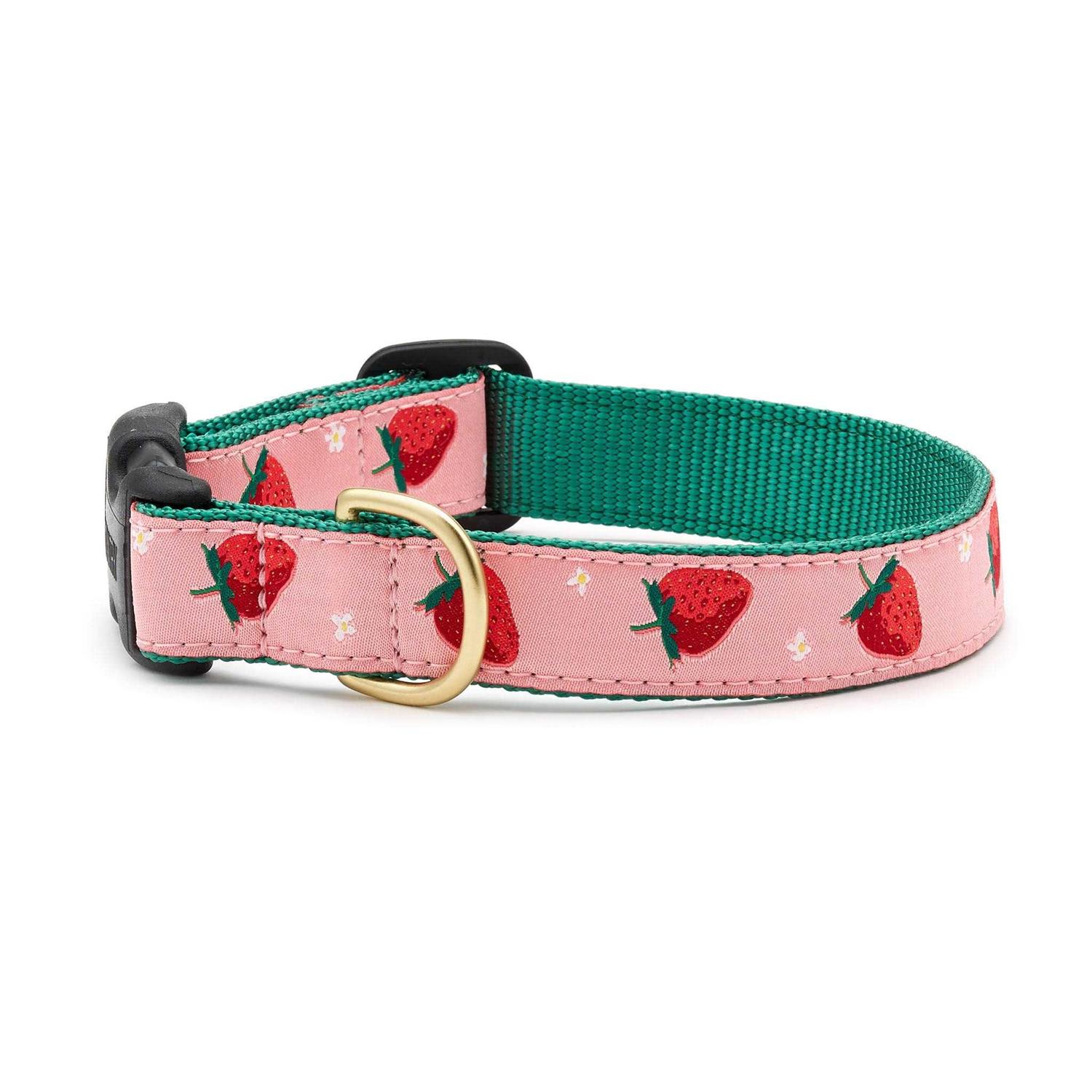 Up Country Strawberry Fields Dog Collar - Healthber