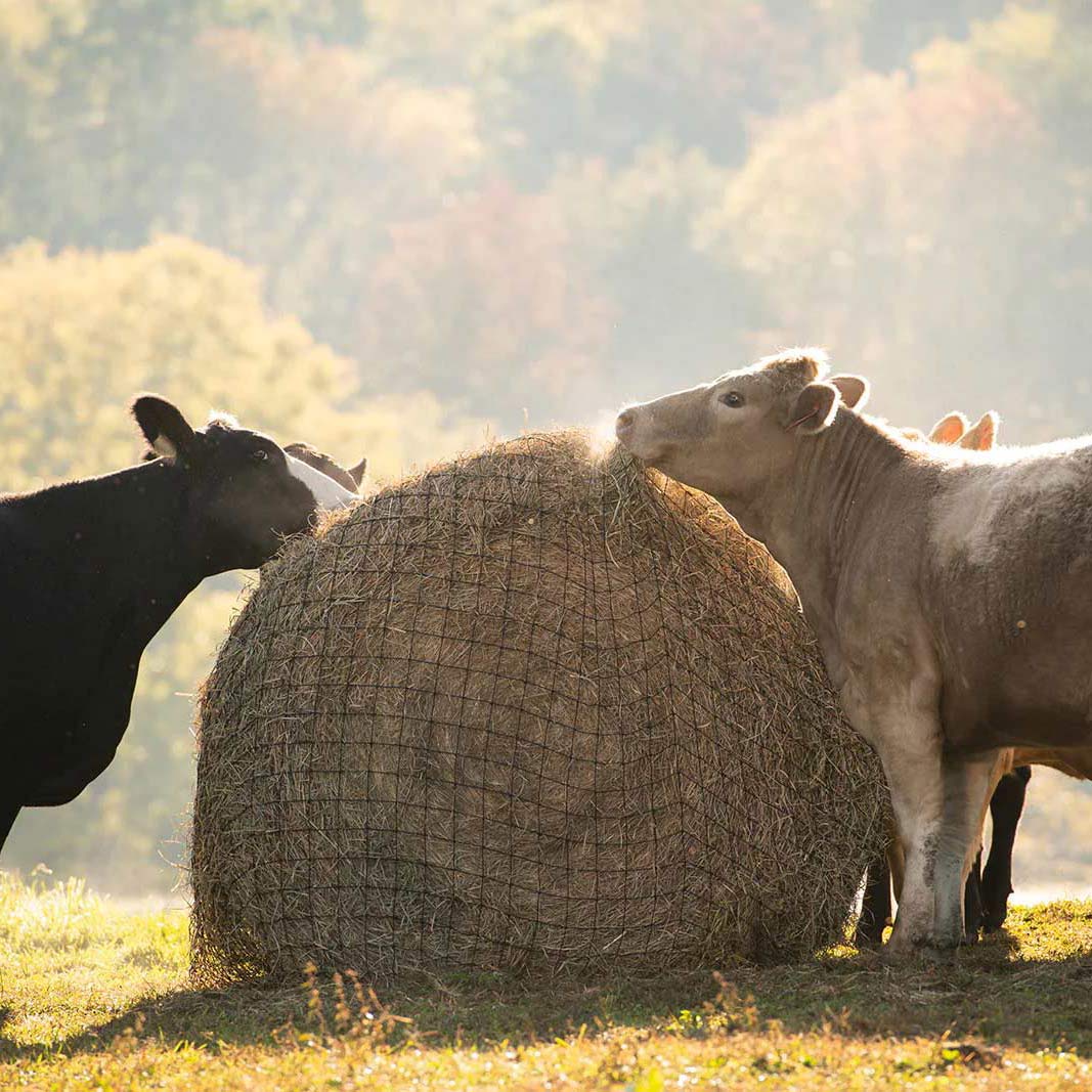 Texas Haynet Livestock Hay Bale Net for Round or Square Bales - Healthber