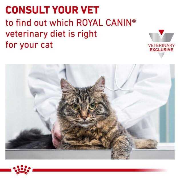 Royal Canin Veterinary Diet Feline Satiety Support Weight Management Adult Cat Loaf in Sauce Wet Food – - Healthber