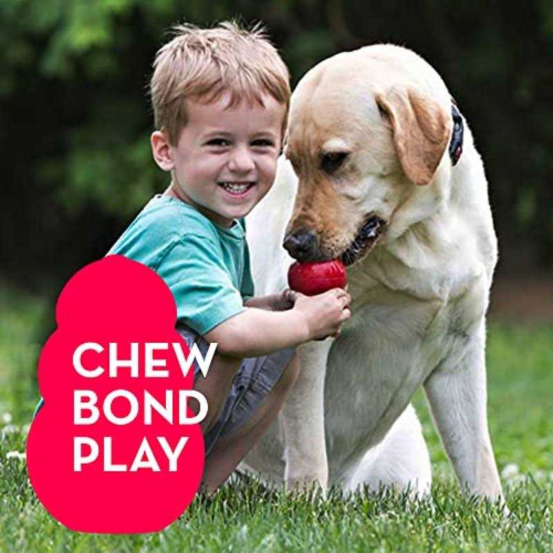 LOYEE Puppy Toys 21 Pack Small Dog Chew Toys with Rope Toys for Teething Pet Cute Squeak Toy with Treating Ball for Puppy - Healthber