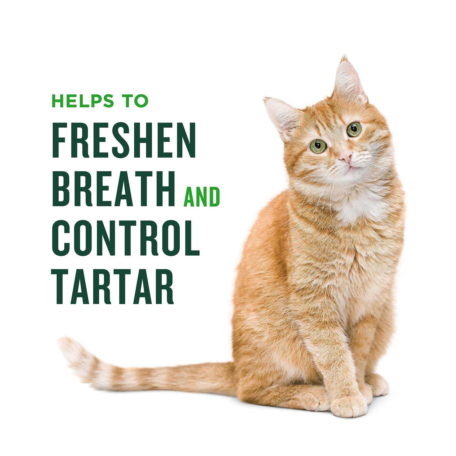 VetIQ Minties Dental Treats for Cats - Healthber