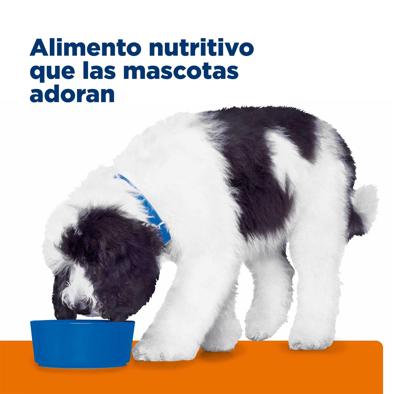 Hill’s Prescription Diet Prescription Diet c/d Multicare Dog Nutrition - Healthber