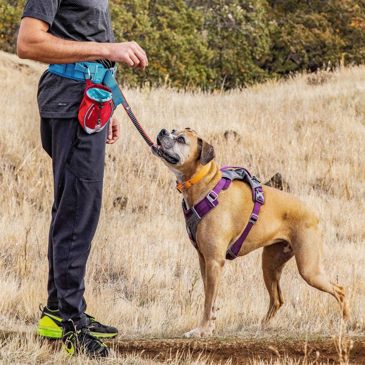 Kurgo Go Stuff It Dog Treat Bag - Healthber