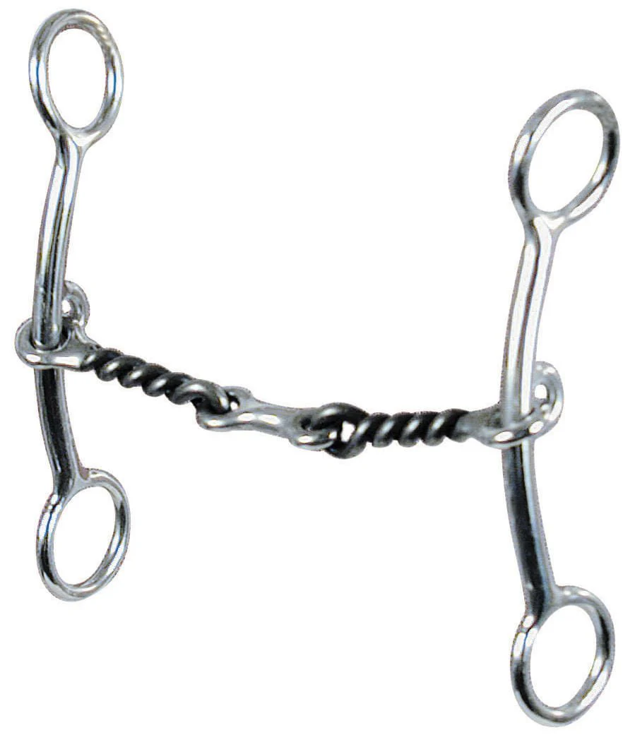 Reinsman Sharon Camarillo Lite Lifter Bit - Healthber
