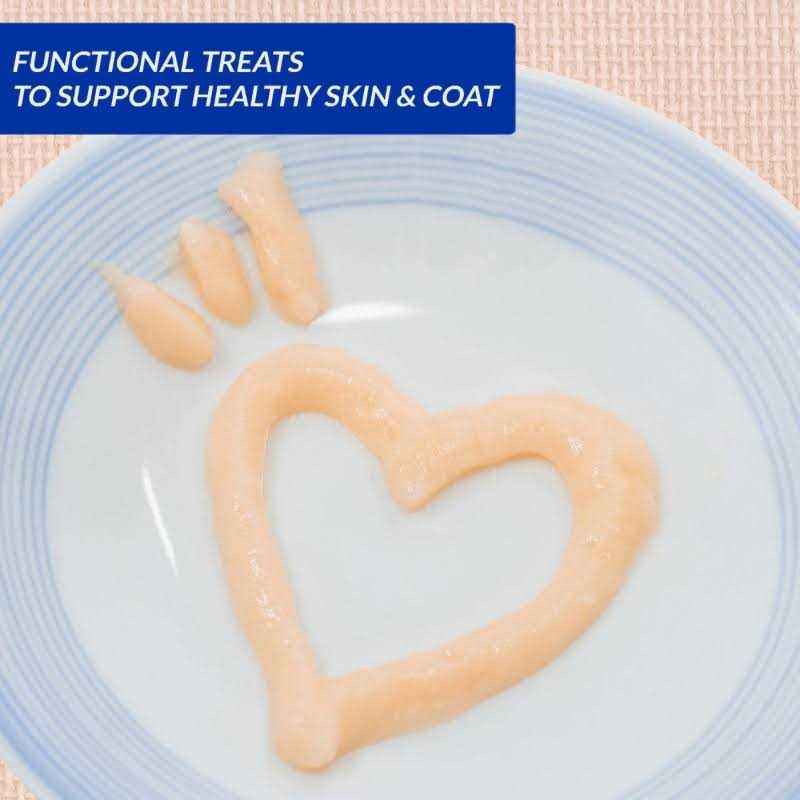 Inaba Churu Skin Coat for Cat 14 Gr - Healthber