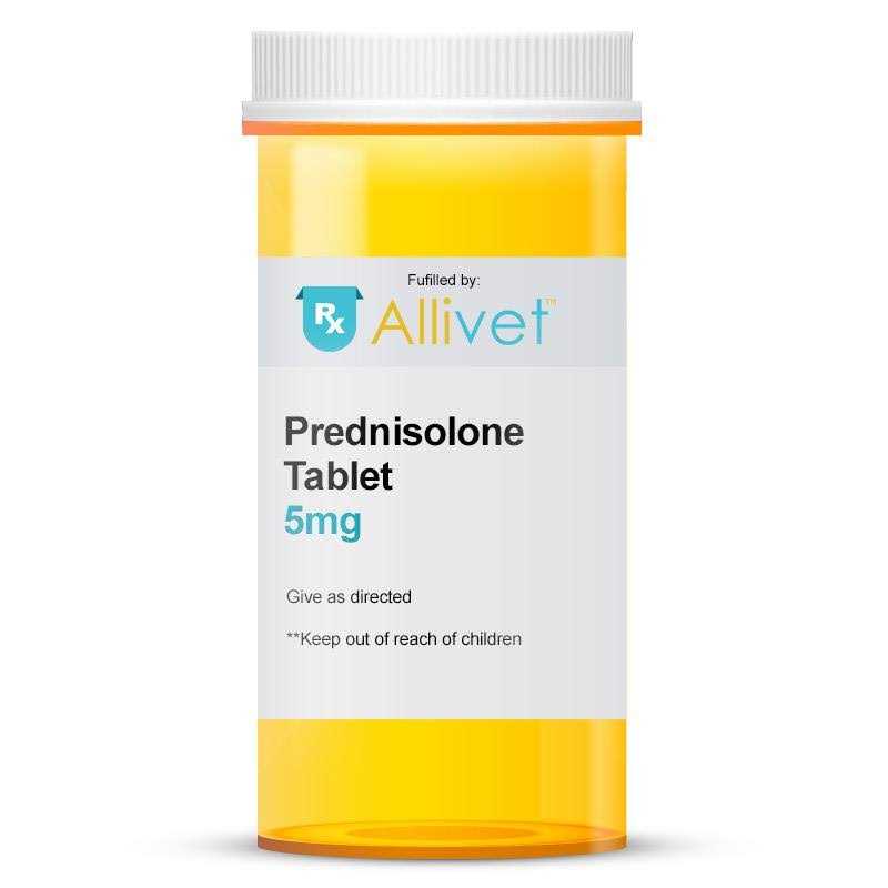 Prednisolone 5 mg - Healthber