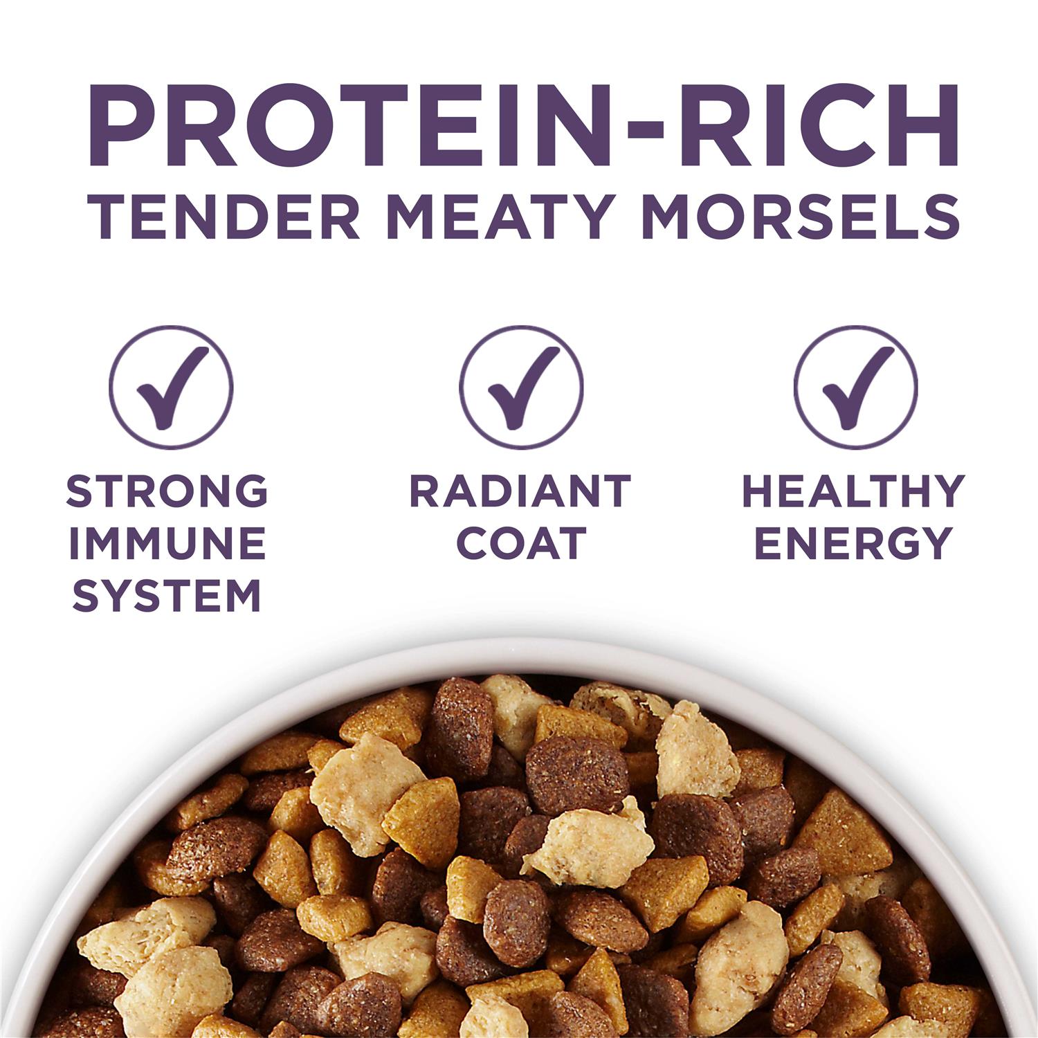 Purina ONE Plus Vibrant Maturity Adult Dry Dog Food Senior - Healthber