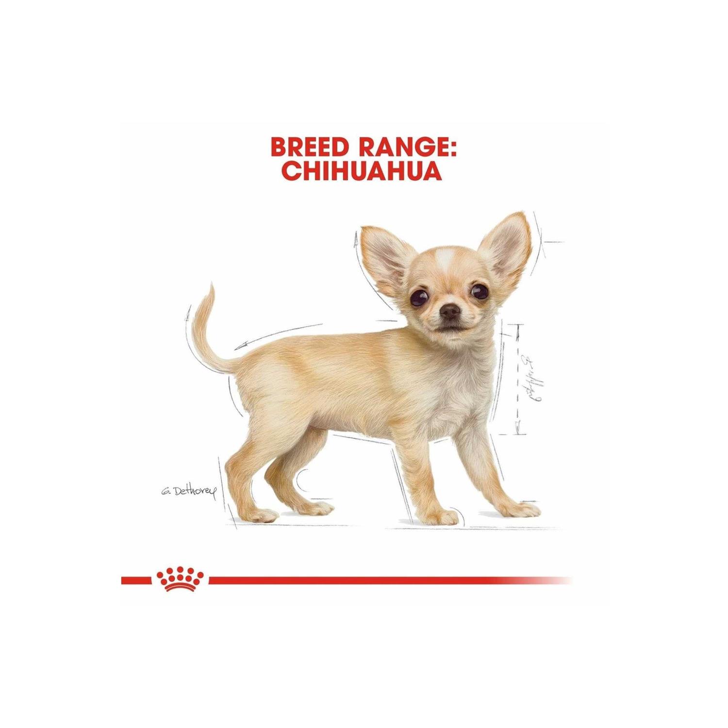 Royal Canin Breed Health Nutrition Chihuahua Puppy Dry Dog Food - Healthber